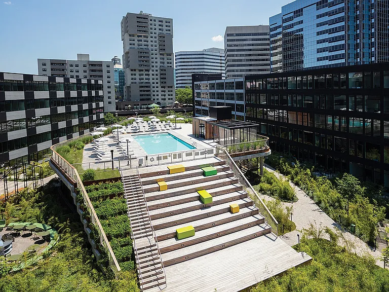 Lush Bamboo-Lined Courtyard