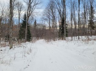 Off Wide Waters Rd, Amasa, MI 49903