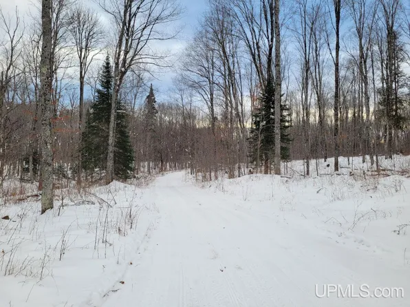 Off Wide Waters Rd, Amasa, MI 49903