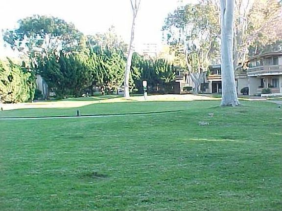Grass Area