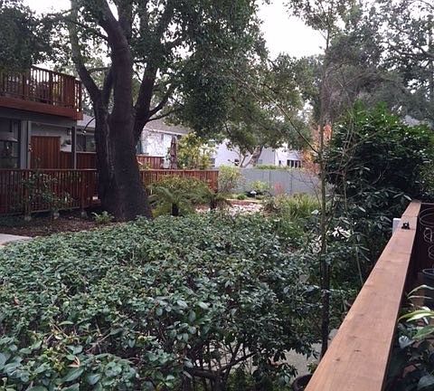 Lovely greenbelt view ...