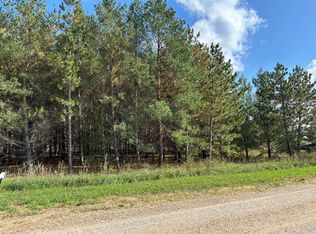 26805 Lidstrom Rd, Detroit Lakes, MN 56501