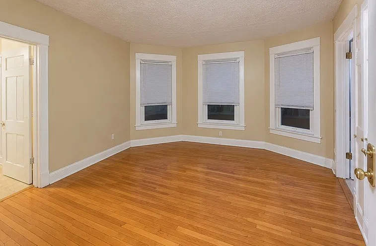 1 bed, 350 sqft, $675 — Photo 2