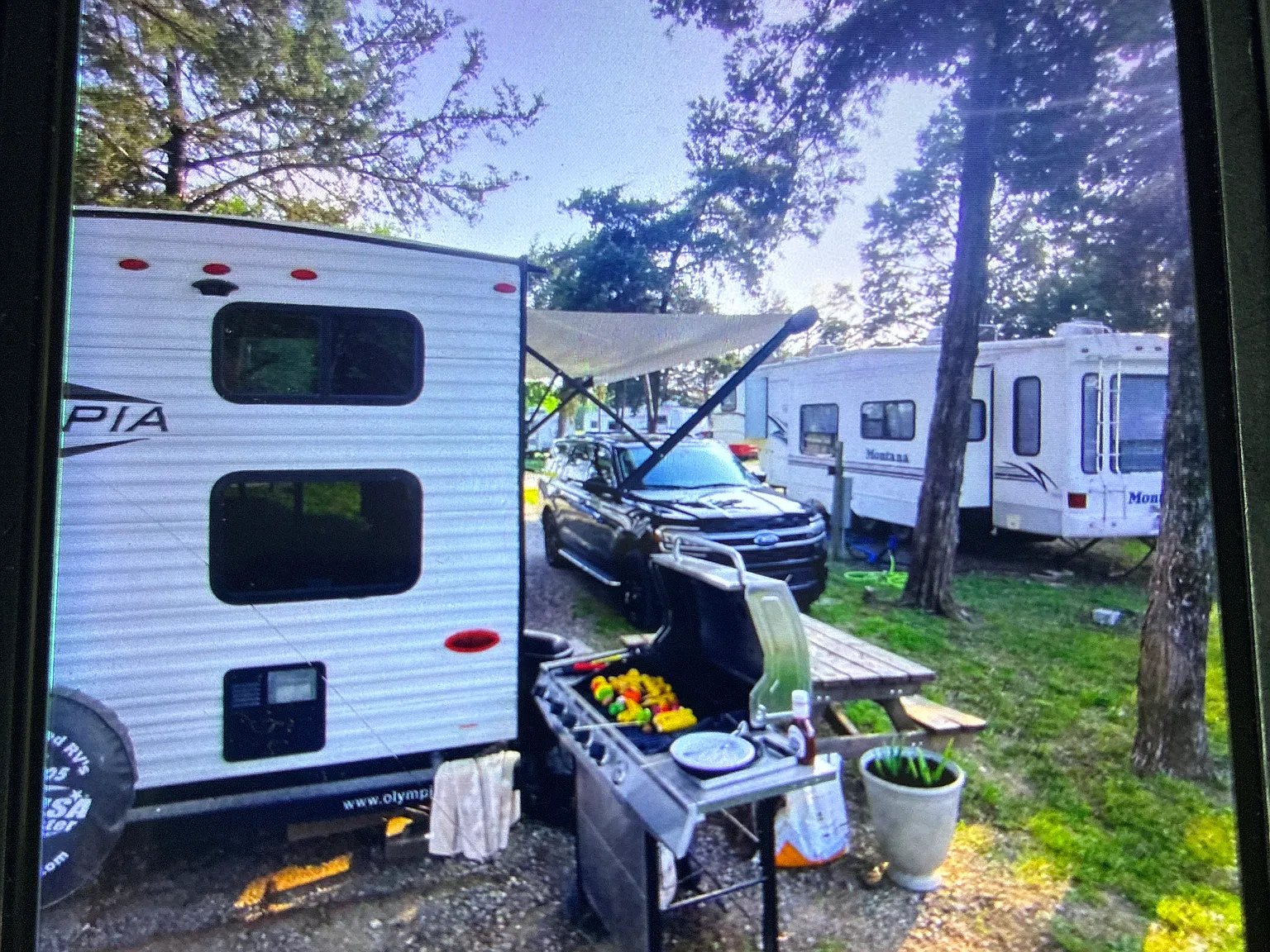 1 bed, 264 sqft, $950 — Photo 2