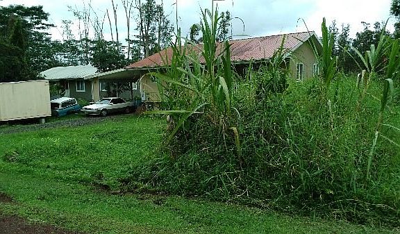 2nd image of Coconut Dr