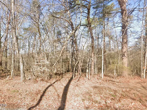 111 Chanusi Way, Tellico Plns, TN 37774