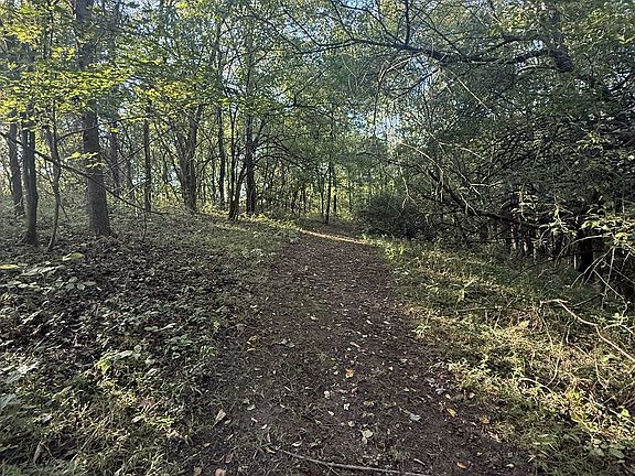 3rd image of 0 Rock Springs Rd Lot 1