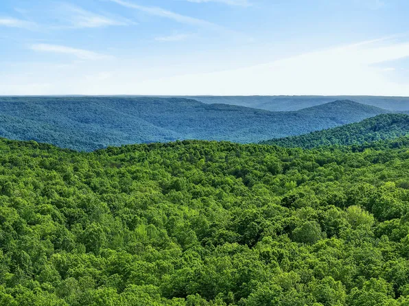 0 Harrison Ferry Rd, McMinnville, TN 37110