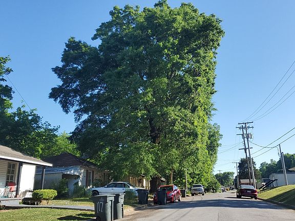 4th image of 137 Minniehaha St
