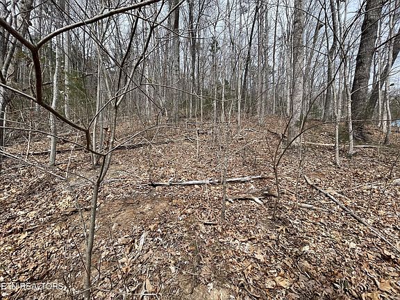 5th image of 120 Laurel Lake Cir Lot 120