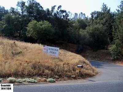 4th image of 13755 Terrace Dr