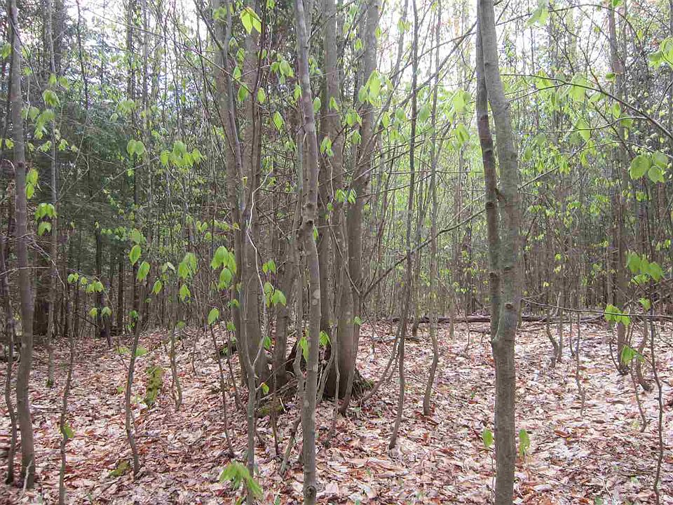 2nd image of Ridge Rd Lot 5