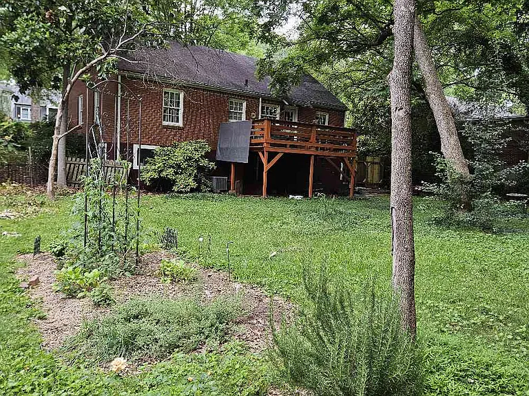 Garden plot and Rosemary and Rose