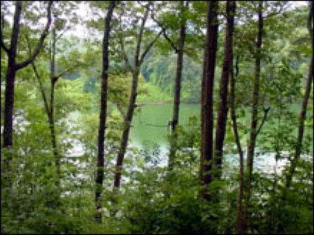 1st image of 3 Lots Rocky Bluff Drive Fontana Lake Ests