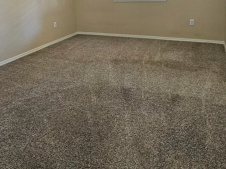 1385 W University Ave #17-155 — Photo 6