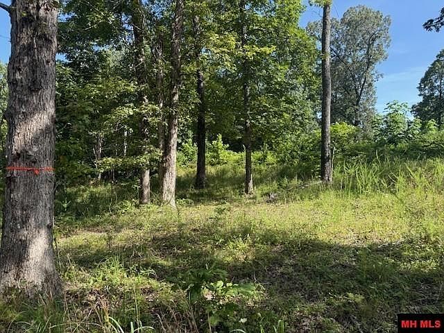 1st image of 267 County Road 987