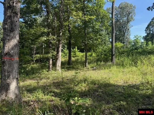 267 County Road 987, Mountain Home, AR 72653