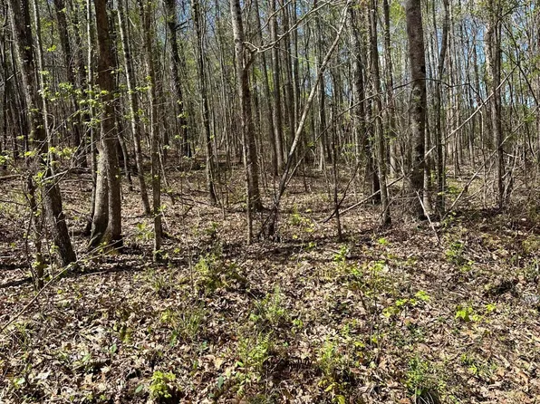 Hunting Club Dr, Rockford, AL 35136