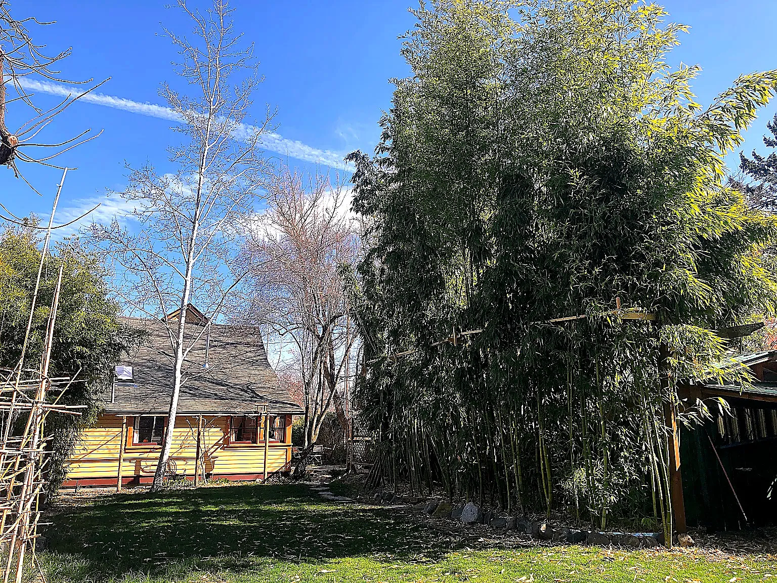 4 bed, 1560 sqft, $2,850 — Photo 1