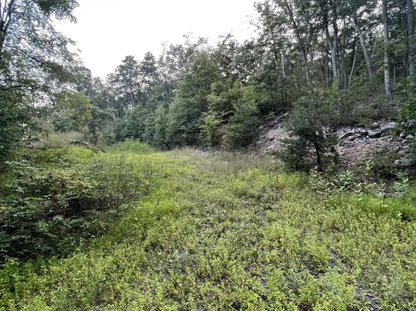 1137 Tomahawk Trl, Winchester, VA 22602