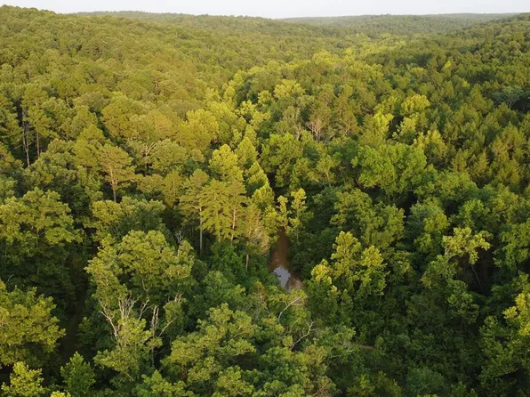 0 Allison Ln, Potosi, MO 63664