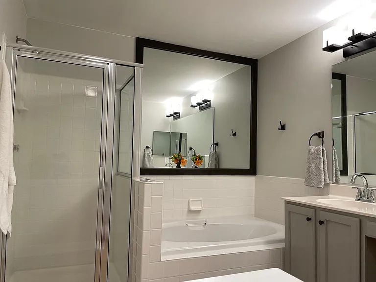 Master bathroom shower and soaking tub