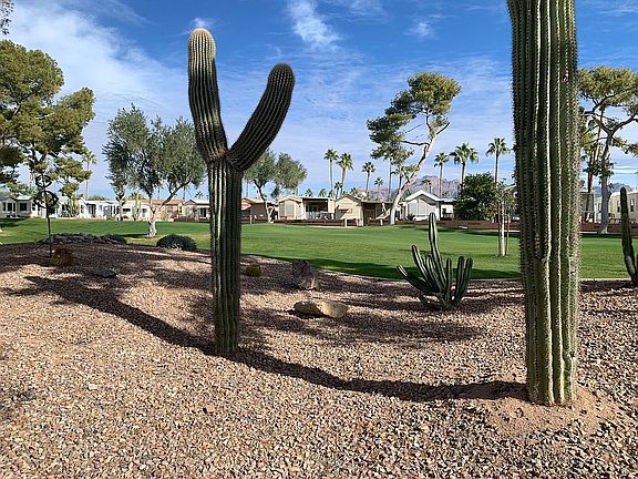 COMMUNITY CACTUS GARDEN 
