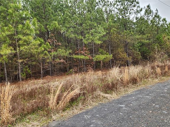 5th image of 9 Milldale Rd