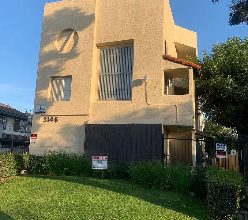 3146Vine