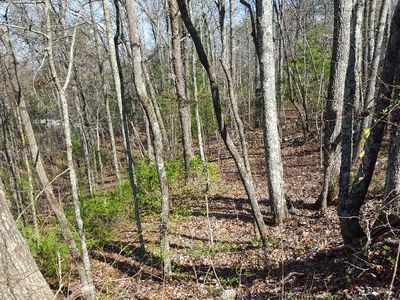 LOT 12 Forest Hill Dr, Blue Ridge, GA, 30513
