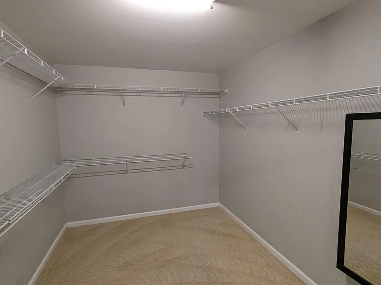 Primary Closet