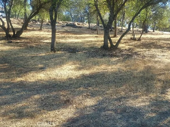 307 Lodgeview Dr, Oroville, CA 95966