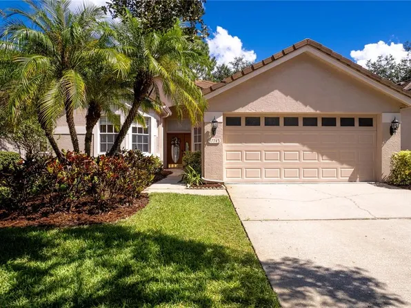 17743 Nathans Dr, Tampa, FL 33647