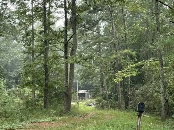0 Young Rd, Franklin, GA 30217