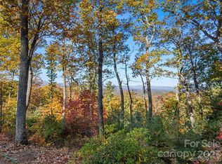 64 Giffords Ln #11, Asheville, NC 28803