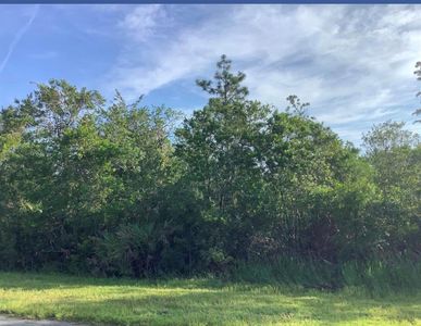 WEMBLEY Ave, Orlando, FL, 32833
