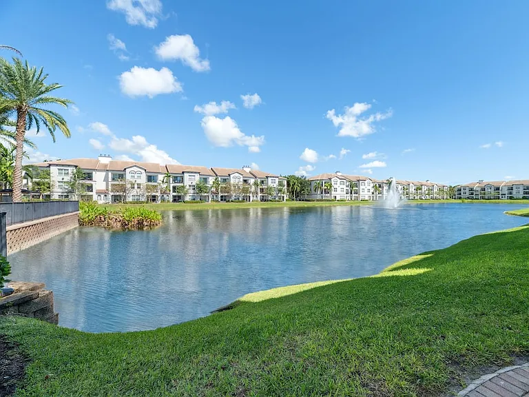 Pond views