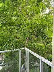 Rented by Chana Ofek, LREB