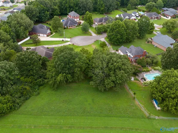 305 Golden Harvest Dr, New Market, AL 35761