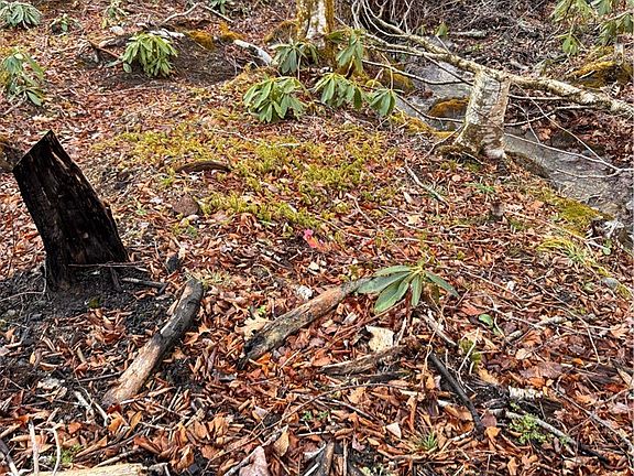 4th image of Lots 39 and 40 Snow Ridge Road