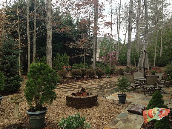 back yard