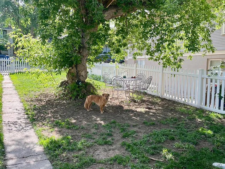 Front Yard
