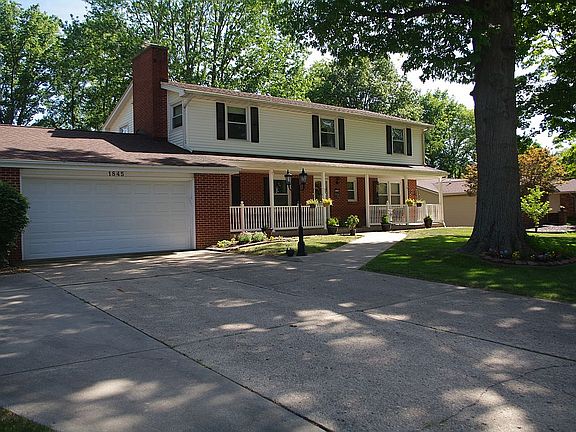 Beautiful Shade Trees