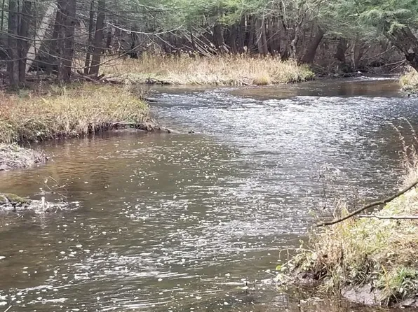 Svecz Rd, Union Dale, PA 18470