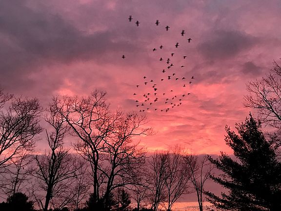 Sunrise from house