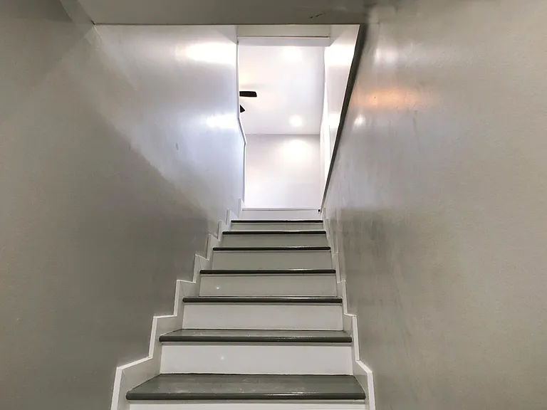 1402 Carroll St #2 — Photo 6