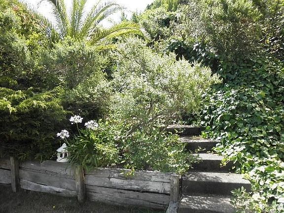 5th image of 950 Calle Paseo