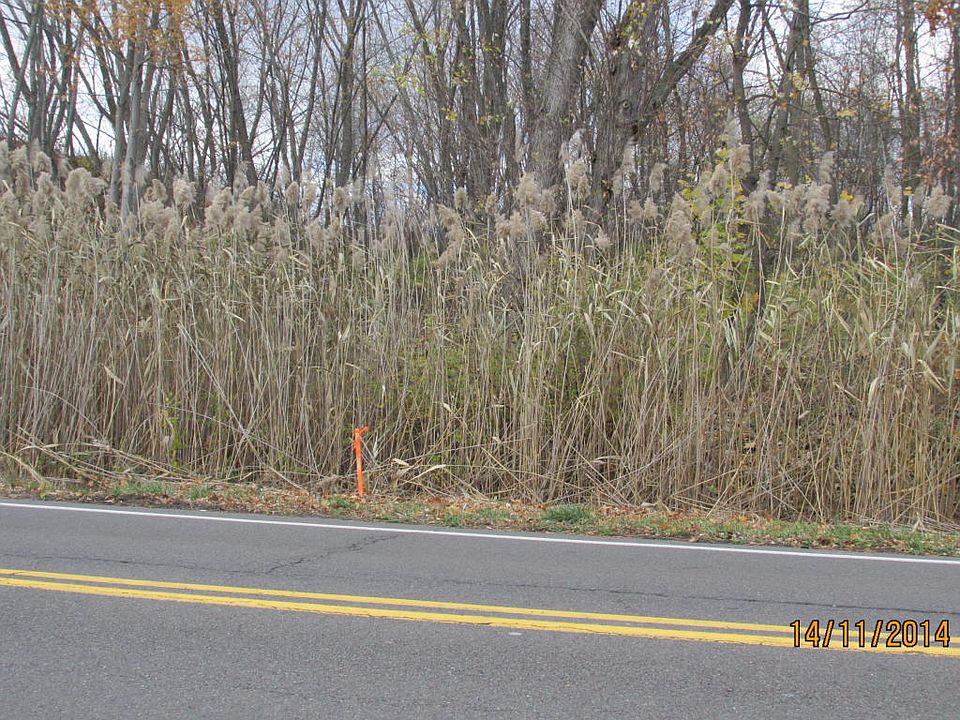 2nd image of Colonels Rd