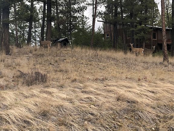 2nd image of 4144 Indian Creek Rd