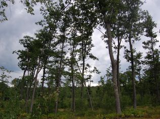 S Saint Helen Rd, Saint helen, MI 48656